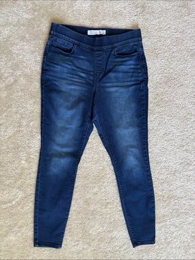 Signature by Levi Strauss Dark Indigo Stretch Jeggings 14x32